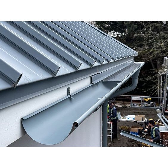 The Role of Gutter Guards in Protecting Australian Homes